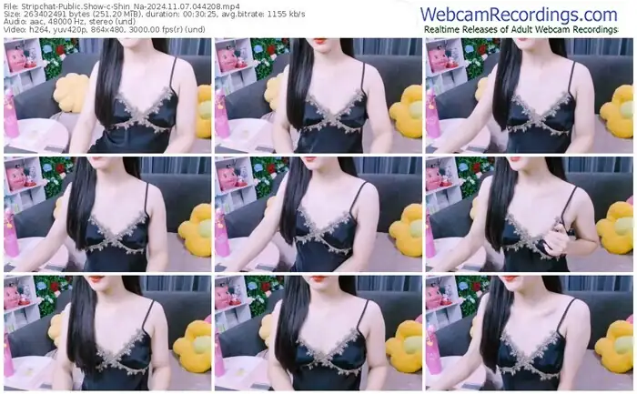 stripchat-shin_na-11-07-2024-04-42-08