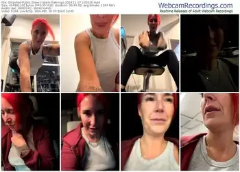 stripchat-black-flamingo-11-07-2024-19-29-26