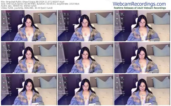 stripchat-jiajia_88-11-07-2024-19-02-07