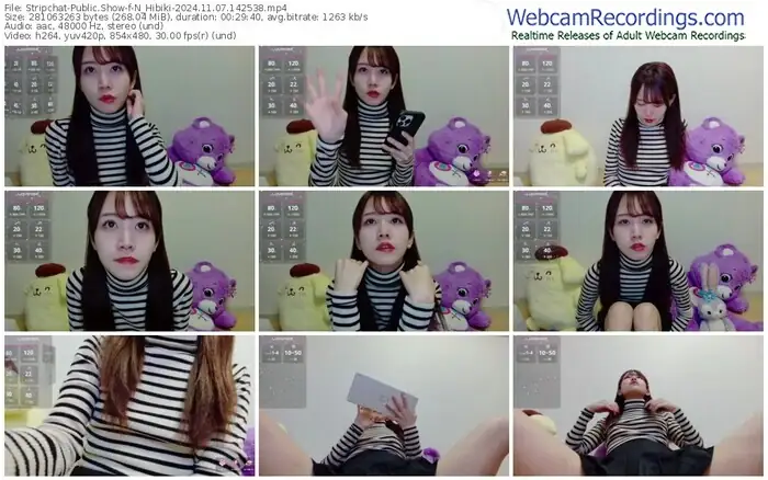 stripchat-n_hibiki-11-07-2024-14-25-38