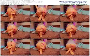 stripchat-nikaweb-11-07-2024-09-52-13