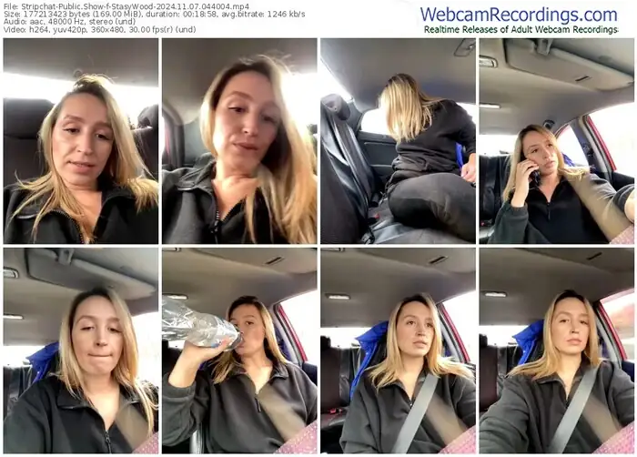 stripchat-stasywood-11-07-2024-04-40-04