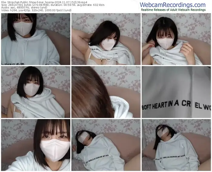 stripchat-mei_hosina-11-07-2024-15-21-39