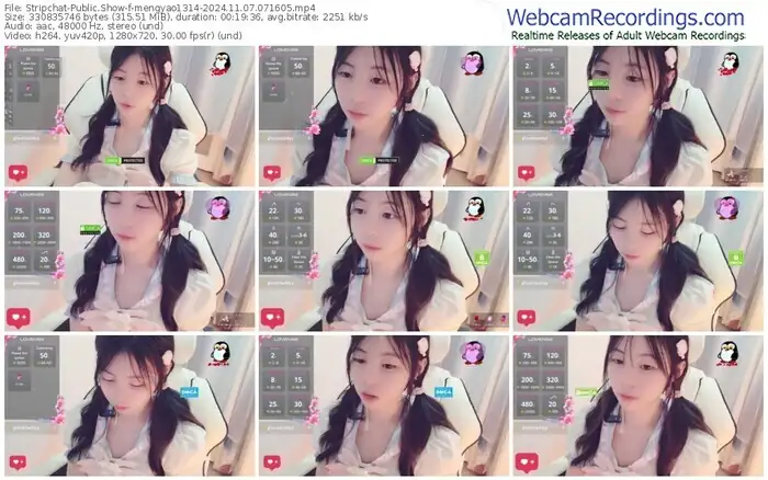 stripchat-mengyao1314-11-07-2024-07-16-05