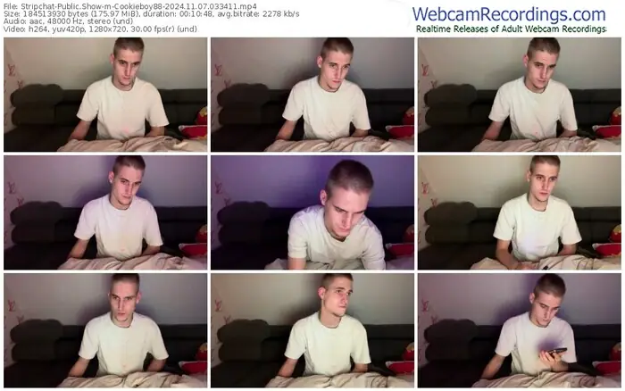 stripchat-cookieboy88-11-07-2024-03-34-11