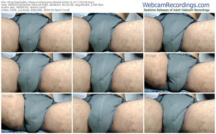 stripchat-masculine_breed-11-07-2024-17-01-36