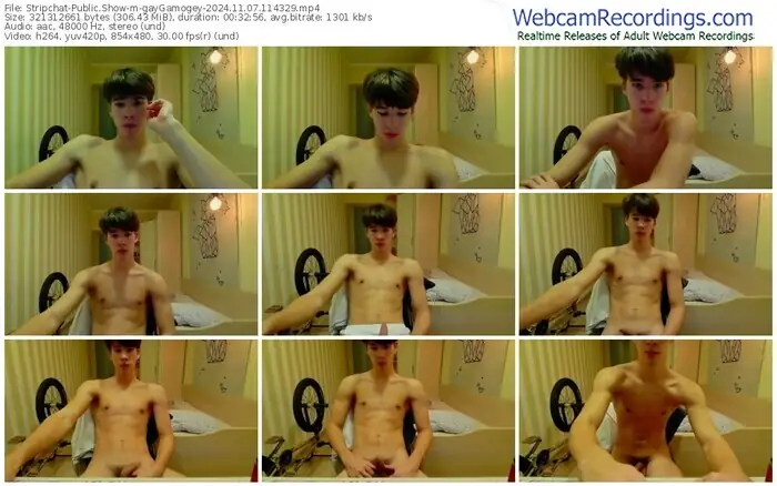 stripchat-gaygamogey-11-07-2024-11-43-29