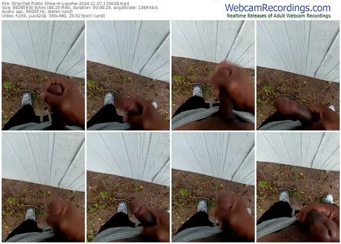 stripchat-yasohw-11-07-2024-13-56-38