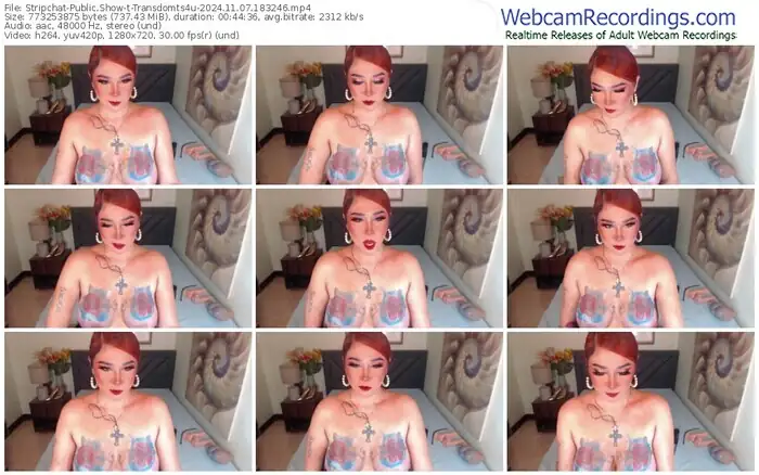 stripchat-transdomts4u-11-07-2024-18-32-46