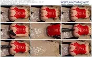 stripchat-ylvis88-11-07-2024-21-08-21