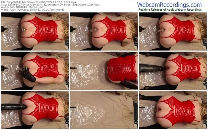 stripchat-ylvis88-11-07-2024-21-08-21