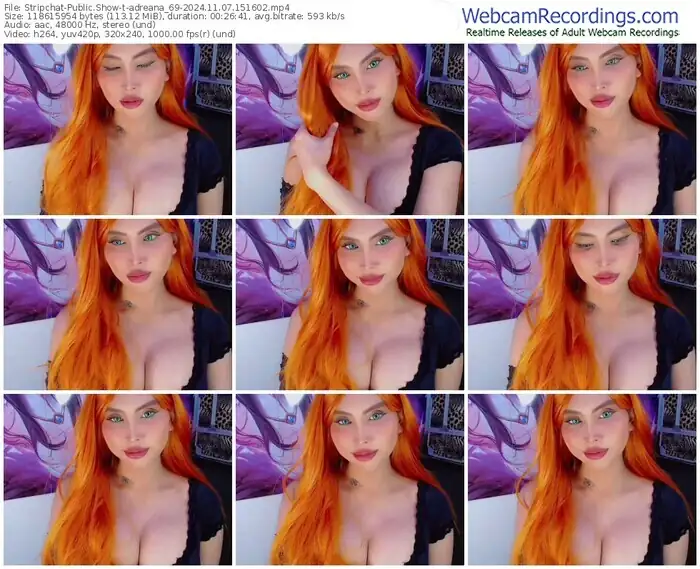 stripchat-adreana_69-11-07-2024-15-16-02