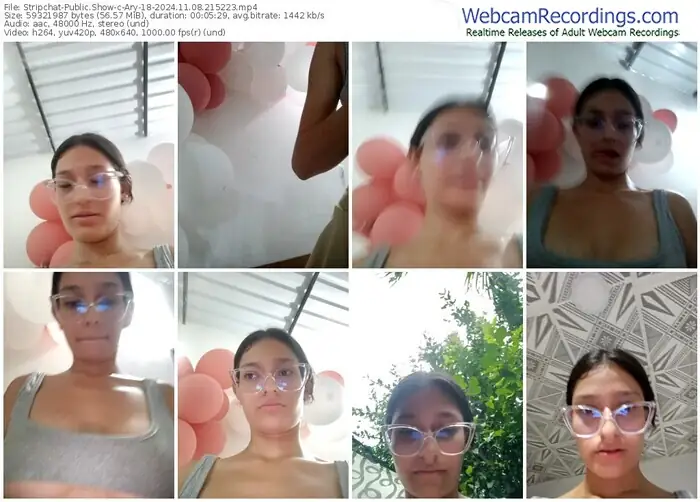 stripchat-ary-18-11-08-2024-21-52-23