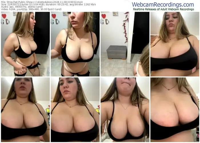 stripchat-celestedubois-11-08-2024-03-30-32