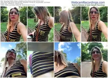 stripchat-gatitacarlita-11-08-2024-20-34-31