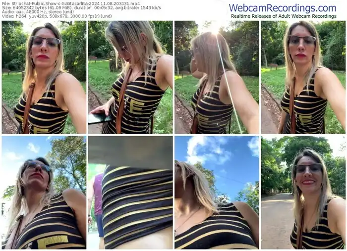 stripchat-gatitacarlita-11-08-2024-20-34-31