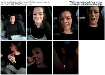 stripchat-ladylena1-11-08-2024-00-41-37