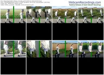 stripchat-timide_girl2-11-08-2024-13-14-20