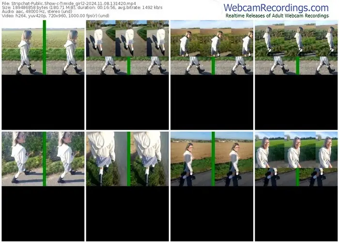 stripchat-timide_girl2-11-08-2024-13-14-20