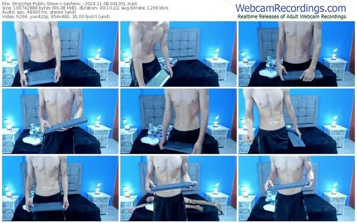 stripchat-sexfenix_-11-08-2024-04-13-51