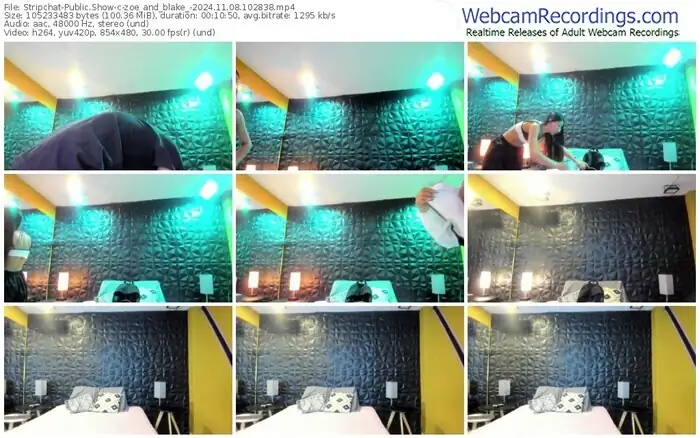 stripchat-zoe_and_blake_-11-08-2024-10-28-38