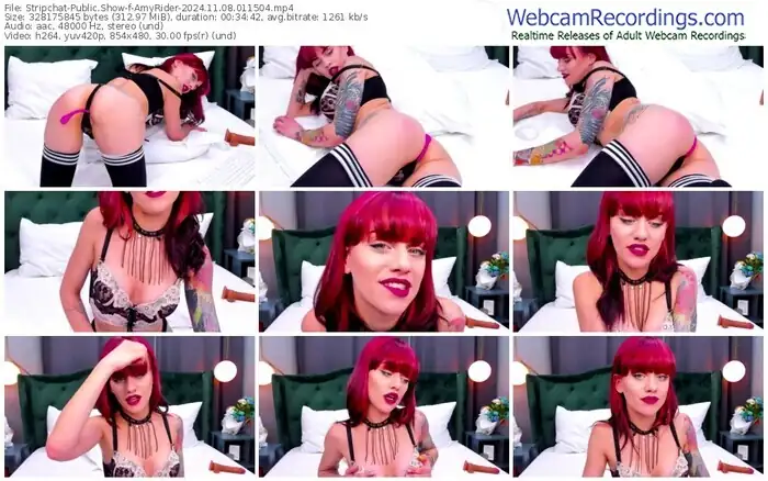 stripchat-amyrider-11-08-2024-01-15-04