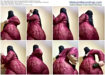 stripchat-cameelia-11-08-2024-01-51-28