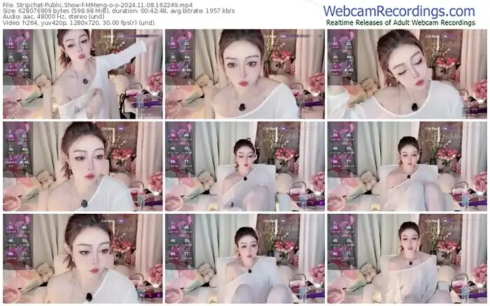 stripchat-mmeng-o-o-11-08-2024-16-22-49