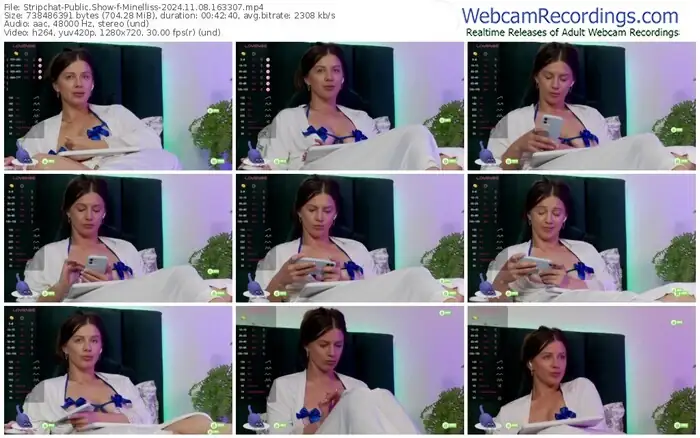 stripchat-minelliss-11-08-2024-16-33-07