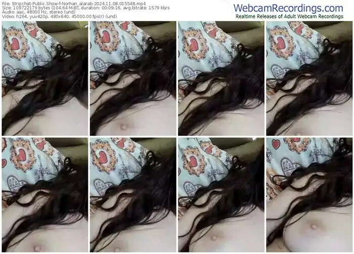 stripchat-norhan_alarab-11-08-2024-01-55-48