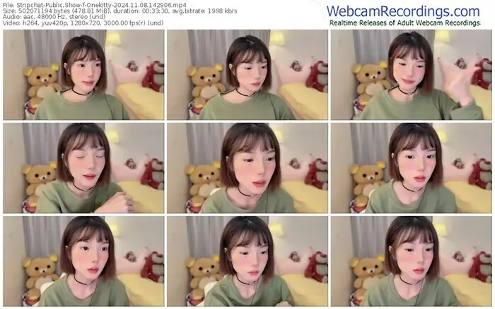 stripchat-onekitty-11-08-2024-14-29-06