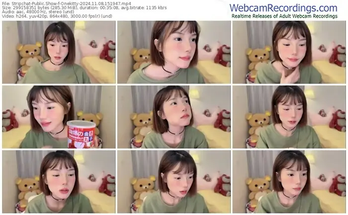 stripchat-onekitty-11-08-2024-15-19-47