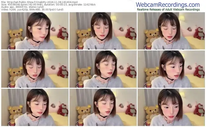 stripchat-onekitty-11-08-2024-18-14-04