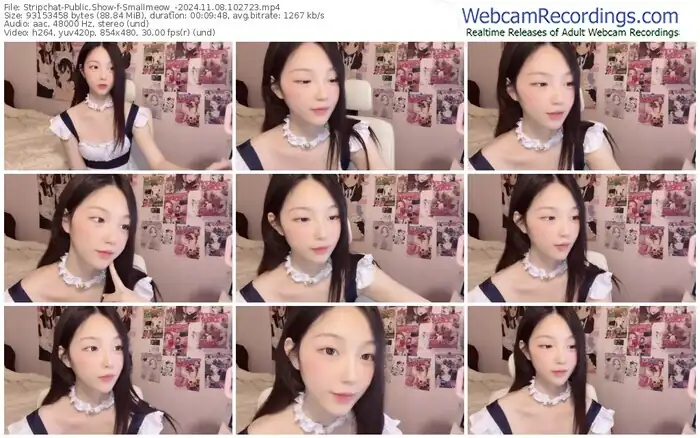stripchat-smallmeow_-11-08-2024-10-27-23