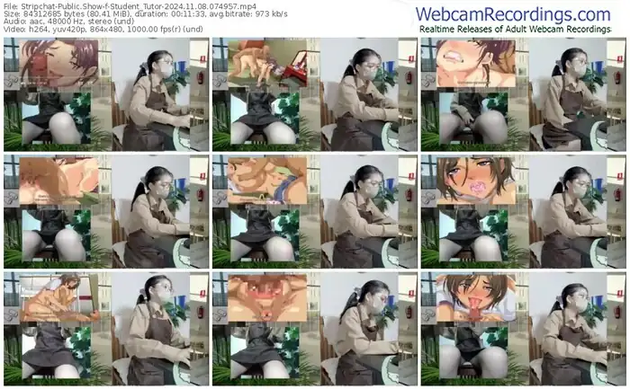 stripchat-student_tutor-11-08-2024-07-49-57