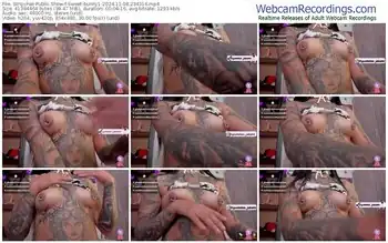 stripchat-sweet-bunny1-11-08-2024-23-43-16