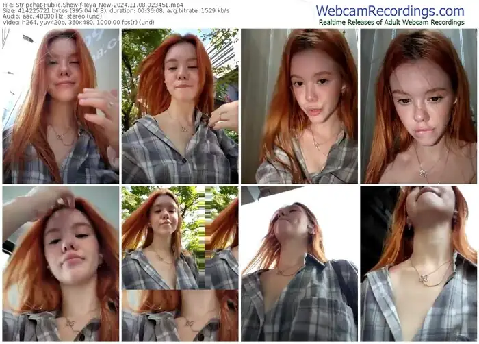 stripchat-teya_new-11-08-2024-02-34-51