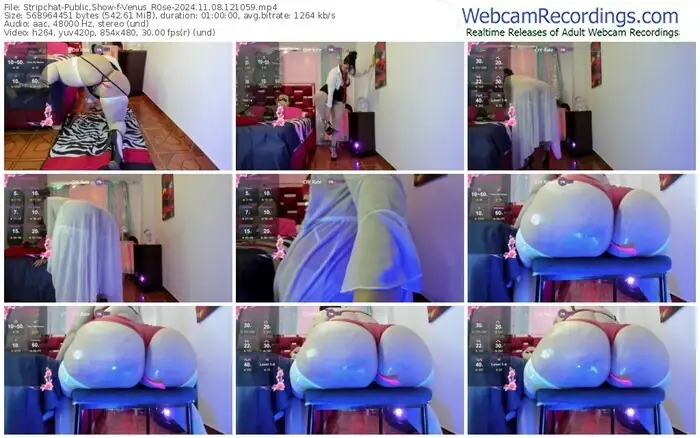 stripchat-venus_r0se-11-08-2024-12-10-59