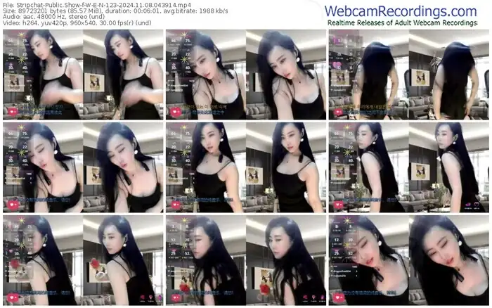 stripchat-w-e-n-123-11-08-2024-04-39-14