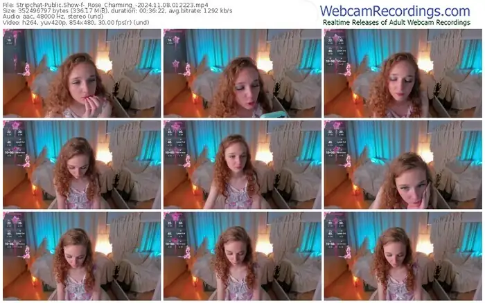 stripchat-_rose_charming_-11-08-2024-01-22-23