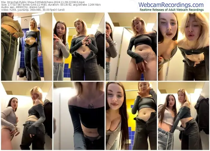 stripchat-littlebitchess-11-08-2024-22-39-16