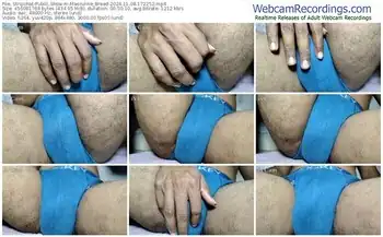 stripchat-masculine_breed-11-08-2024-17-22-52