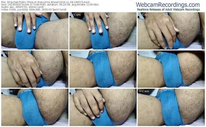 stripchat-masculine_breed-11-08-2024-18-45-15