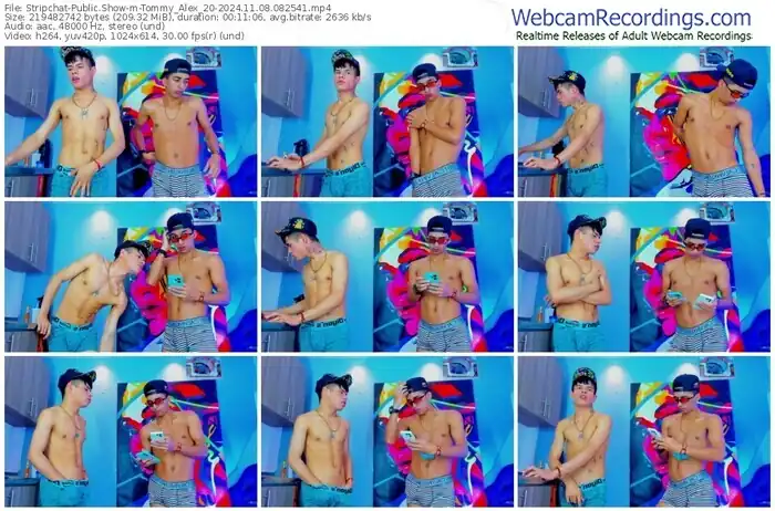 stripchat-tommy_alex_20-11-08-2024-08-25-41