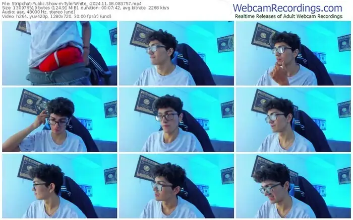 stripchat-tylerwhite_-11-08-2024-08-37-57