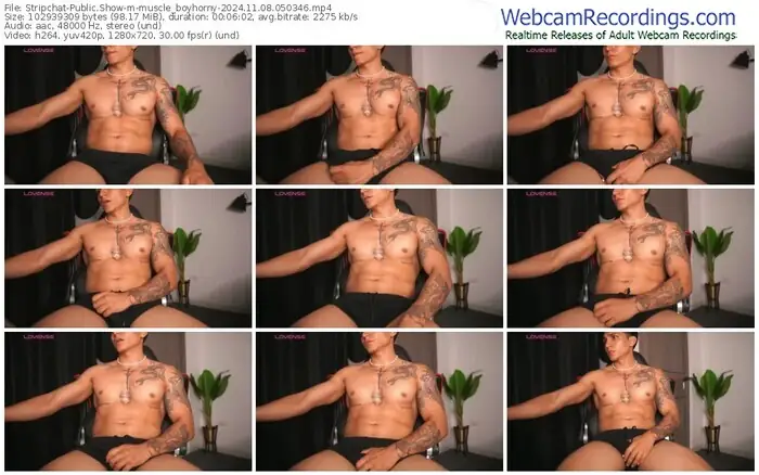 stripchat-muscle_boyhorny-11-08-2024-05-03-46