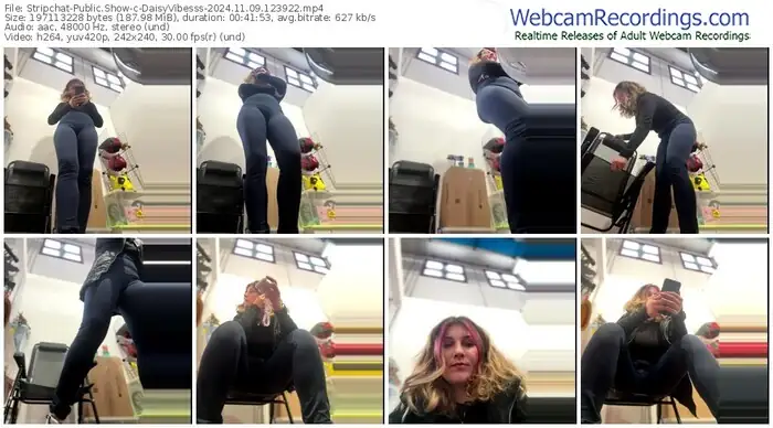 stripchat-daisyvibesss-11-09-2024-12-39-22