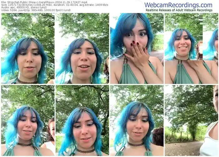 stripchat-gerallfoxxx-11-09-2024-17-24-27