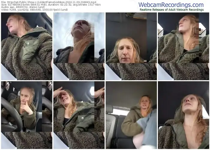 stripchat-goldenflamegoddess-11-09-2024-20-48-43
