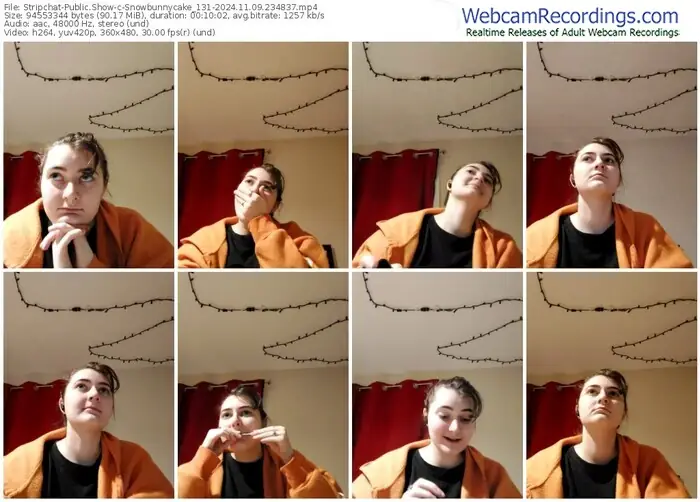 stripchat-snowbunnycake_131-11-09-2024-23-48-37